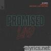 Promised Land (Mark Knight & James Hurr Remix) - Single
