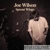 Joe Wilson lyrics