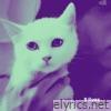 9 Lives