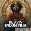 Destin Incompris - Single