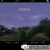 Conocer - Single