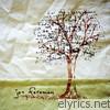 Jon Foreman - Limbs and Branches