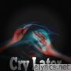 Cry Later (feat. Poter Payper) - Single