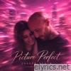 Picture Perfect - Single
