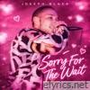Sorry For The Wait - Single
