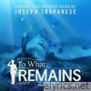 To What Remains (Original Documentary Score)