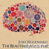 Josh Woodward - The Beautiful Machine