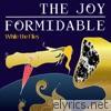 Joy Formidable - While the Flies (acoustic) - Single