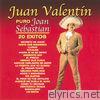 Puro Joan Sebastián (20 Éxitos)