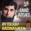 Ay Meray Hamnasheen - Single