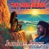Try Love Again - Single