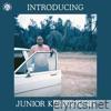 Introducing Junior Kimbrough