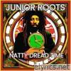 Natty Dread Time - Single