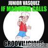 Junior Vasquez - If Madonna Calls