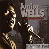 Junior Wells - Junior Wells: Best of the Vanguard Years