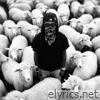 K Camp lyrics