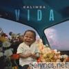 Vida - Single