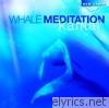 Whale Meditation