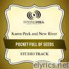 Pocket Full of Seeds (Studio Track) - EP