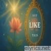 Say Like This - Single