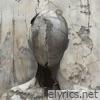 FALSE IDOLS - Single