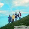 Eyes seeing eyes - Single