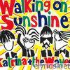 Walking on Sunshine (2004 Version) - Single