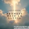 Promesa Bajo la Lluvia (feat. Vientoki) - Single