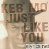 Keb' Mo' - Just Like You