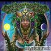 ROOTED - Single