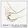 I Won't Let You Down (feat. Dr. Sippi Khurana & Nicholas Wong) - Single