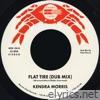 Flat Tire (Dub Mix) [feat. Paul Cherry] - Single