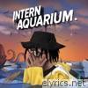 Khary - Intern Aquarium.