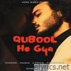 Qubool Ho Gya - Single