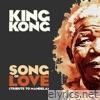 Song of Love (Tribute to Mandela) - Single
