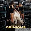 Opinions - Single