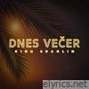 Dnes Večer - Single