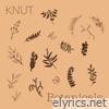 Botanicals (feat. Arild Andersen, Torstein Lofthus, Andreas Ulvo & Knut Bjørnar Asphol) - Single