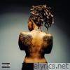 Loose Screws - Single