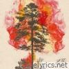 Surrounded - Single