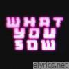 What You Sow - Single