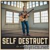 Self Destruct (Live at the Baker Hotel) - Single