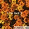 If You Build It - Single