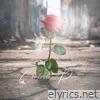 Concrete Rose - Single