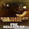 Krs-one & Marley Marl - Hip Hop Lives - EP