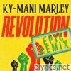 Revolution (Epic Remix) - Single