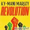 Revolution - Single