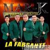 La Farsante - Single
