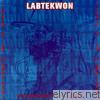 Labtekwon - The Hustlaz Guide to the Universe