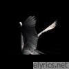 Sacred in the wreckage - Single